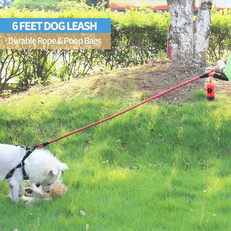 BAAPET 2/4/5/6 FT Dog Leash with Comfortable Padded Handle and Highly Reflective Threads for Small Medium and Large Dogs (6FT-1/2'', Red) - Image 5